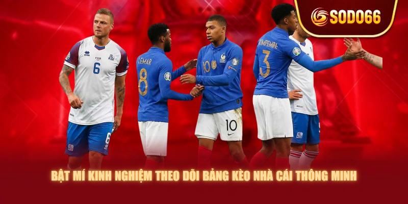 Bật mí kinh nghiệm theo dõi bảng kèo nhà cái thông minh