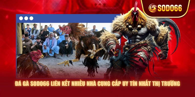 Đá gà SODO66 liên kết nhiều nhà cung cấp uy tín nhất thị trường