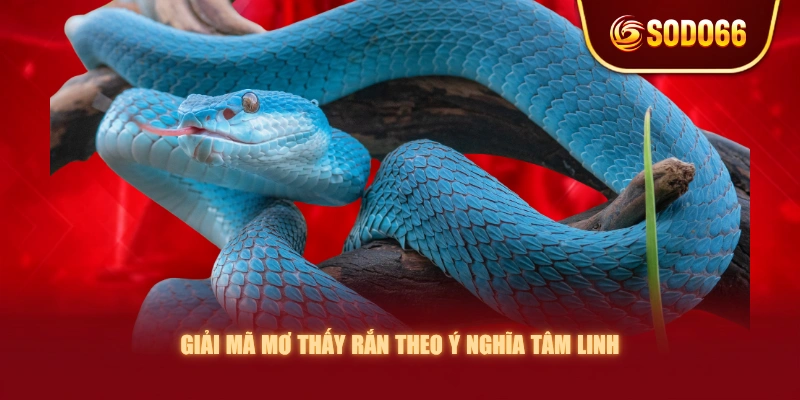Giải mã mơ thấy rắn theo ý nghĩa tâm linh
