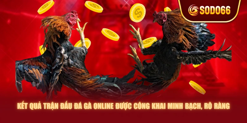 Kết quả trận đấu đá gà online được công khai minh bạch, rõ ràng