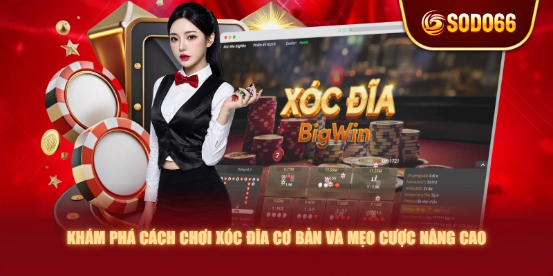 Khám Phá Cách Chơi Xóc Đĩa Cơ Bản Và Mẹo Cược Nâng Cao
