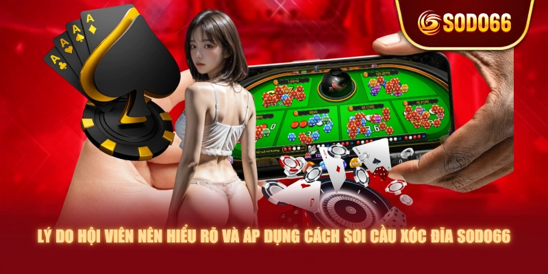 Lý do hội viên nên hiểu rõ và áp dụng cách soi cầu Xóc Đĩa SODO66