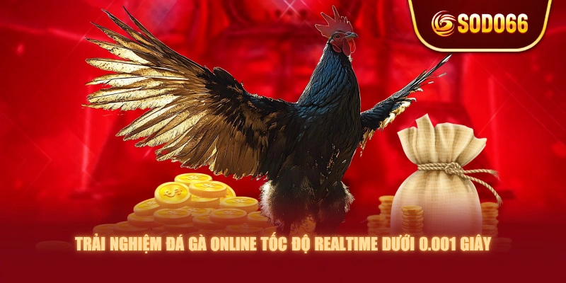 Trải Nghiệm Đá Gà Online Tốc Độ Realtime Dưới 0.001 Giây